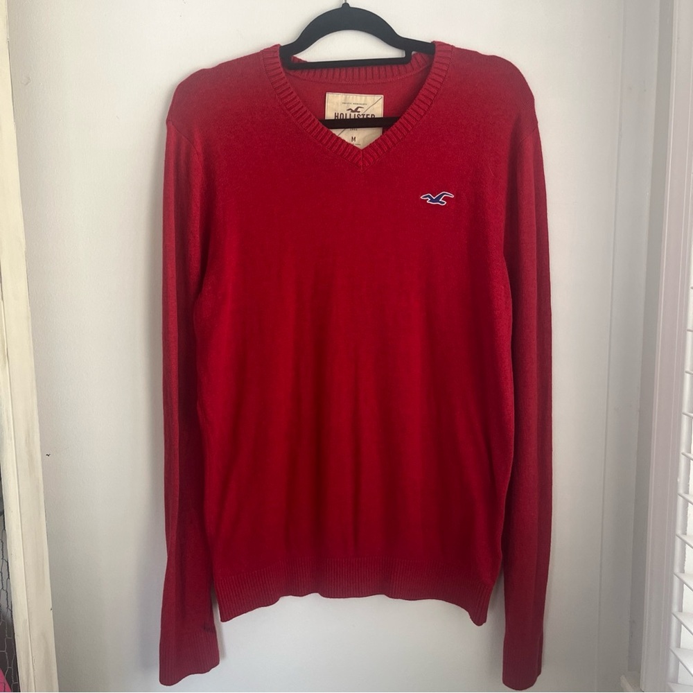 HOLLISTER Mens Medium Red V Neck Pullover Fittted Sweater Dark Academia